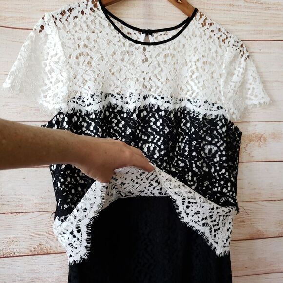 Milly Gabrielle Tiered Color Blocked Lace Shift Mini Dress Women's Size 10 - Picture 4 of 11